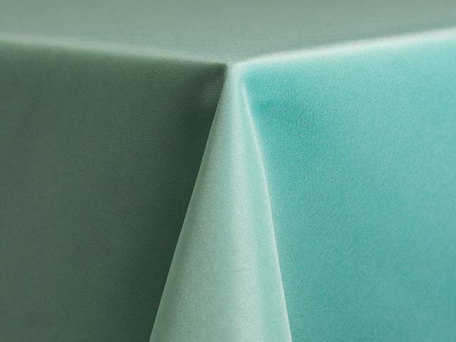 Rental store for NAPKIN, AQUA in Santa Rosa CA