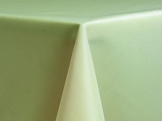 Rental store for NAPKIN, CELADON in Santa Rosa CA